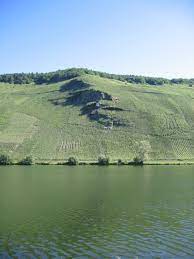 Check spelling or type a new query. Jj Prum Field Blend Selections