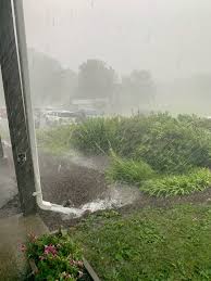 • rain gardens cost no more than regular flower gardens. Rain Garden