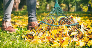 A rake is a rake is a rake or is it? 7 Of The Best Leaf Rakes Reviewed A Gardener S Path Buying Guide