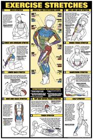 Exercise Stretches Fitness Chart