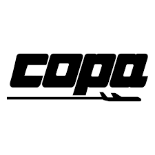 To search on pikpng now. Copa Libertadores Vector Logo Download Free Svg Icon Worldvectorlogo