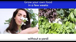 Check spelling or type a new query. Meet The Lettuce Grow Farmstand Youtube