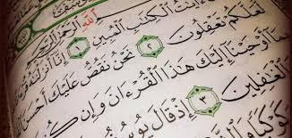 تفسير رؤية الذئاب في المنام لميلر. ØªÙØ³ÙŠØ± Ø­Ù„Ù… Ø³ÙˆØ±Ø© ÙŠÙˆØ³Ù Ø­ÙŠØ§ØªÙƒ