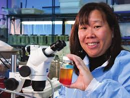 Inside gray wolves' stunning comeback—and uncertain future