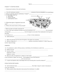Biology Cell Worksheets Biology Worksheet Cells Worksheet Cell Biology