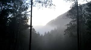 Check spelling or type a new query. Legenda Mejajaran Setan Perempuan Penunggu Hutan Jati Banyumas Regional Liputan6 Com