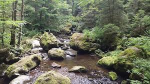 Our day out at the beautiful ravennaschlucht (ravenna gorge) between freiburg and titisee. Ein Erlebnis Im Hochschwarzwald Ravennaschlucht Breitnau Reisebewertungen Tripadvisor