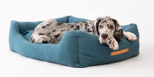 Dettagli su ikea lurvig cuccia per gatti cani grigio. Cucce Ciotole E Accessori Per Cane E Gatto Cose Di Casa