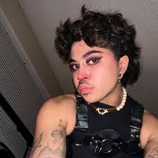 Fundraiser by val ramos : Support Valentin's Gender Affirmation Top Surgery