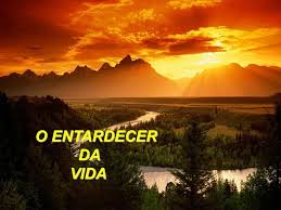 Imagem relacionada