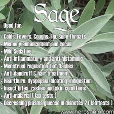 Grow Your Own Antibacterial Bandages Healing Herbs Herbal Medicine Herbal Healing