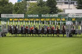 2021/06/20阪神5r結果 1番人気ではありましたが 【血統推奨馬】 1着ダノンスコーピオン しっかり走ってくれましたね 毎週何頭もオススメ 参考にされた方すみません そして的中された方は おめでとうございます 来週は宝塚記念があります! 65ahqlvavu8jlm