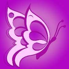 Butterflies are insects in the macrolepidopteran clade rhopalocera from the order lepidoptera, which also includes moths. Betterfly Betterfly Net Twitter