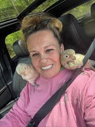 This poor little boy lost his human last week and he has found his way to  me. I want to address his color , as he is a goffin cockatoo and should