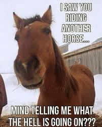 Red Dead Redemption 2 Meme Funny Horse Memes Funny Horses Horse Jokes