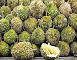 Ada beberapa petua yang boleh digunakan bagi menghilangkan bau tersebut dalam masa yang singkat. 6 Cara Hilangkan Bau Durian Dalam Kereta Pengedar Shaklee Kuala Lipis
