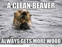 Pin On Funny Pictures