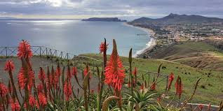 The desertas and selvagens islands are uninhabited, but 40km to the northeast, madeira's sister island, porto santo, has a population of around 5500. Atlantik Insel Porto Santo Und Corona Triumph Des Mittelmasses Taz De
