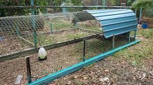 Maybe you would like to learn more about one of these? Reban Ayam Kampung Reban Tunnel Unik Youtube