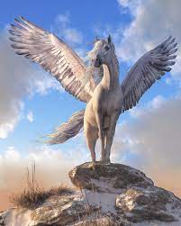 Pegasus is one of the world's first airlines, and the first in turkey, to trial the iata travel pass, helping guests travel internationally with ease pegasus airlines ceo mehmet t. Pegasus Monster High Wiki Fandom