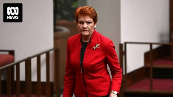 Highly misleading' viral video shared by One Nation's Pauline Hanson sparks racial abuse in Voice to Parliament debate - ABC News