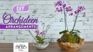 Damit eine orchidee ihr prachtvolles erscheinungsbild nach dem auspacken makellos in szene setzt, sollte sie zu keiner zeit vom licht abgeschnitten werden. Diy Orchideen Effektvoll Dekorieren How To Deko Kitchen Youtube