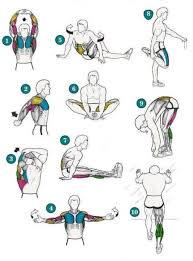 Pin By Al Adodi On Miscellaneous After Workout Stretches Back Workout After Workout