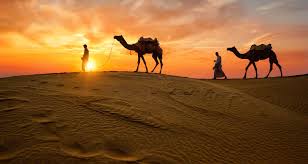 Our passion is to take you 'off the beaten track' on a journey that will be an unforgettable experience. Ultimate Rajasthan Tour By Trek India Tours Tourradar