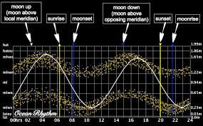 Ocean Rhythm Best Times And Tides For Fishing In South Africa