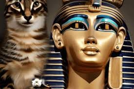 Adam Dial (adamdial9921)