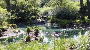 6 Outstanding Outdoor Wedding Venues In Houston