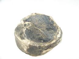 Flint River South Georgia