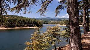 restaurant auberge du lac annonay meester restorer kom en ontdek onze gerechten auberge du lac ardeche 07 lakeside hotel safari park park