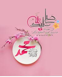 pin on عبارات