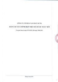 báo cáo tài chính hợp nhất đã được soát xét - Vietstock
