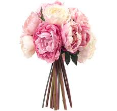 Check spelling or type a new query. Hand Tied Pretty Perfect Diane James Home