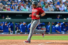 Are you a fan of cactus? The 2019 Arizona Diamondbacks Opening Day Outfield Az Snake Pit