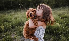 Maybe you would like to learn more about one of these? How Much Does Pet Insurance Cost Allstate