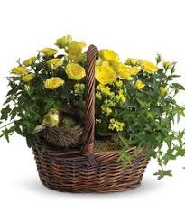 Rumble tumble is a fun indoor play gym with a huge indoor soft play zone and private party center. 18 Decorate With Flower Baskets Ideas Flower Arrangements Flowers Hanging Flower Baskets