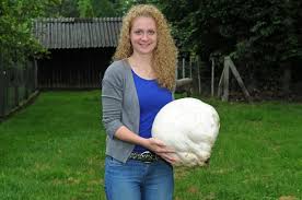 Ungewohnlicher Fund In Wulfener Garten Dorsten