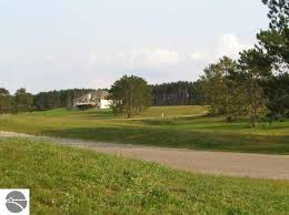 Looking for lakefront homes on lake mitchell? Lake Mitchell Cadillac Real Estate 28 Homes For Sale Zillow