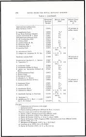 Image result for Streptocarpus hirtinervis