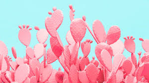 How is biodegradable material useful? This New Biodegradable Plastic Is Made From Cactus