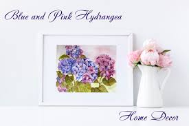 By far the greatest species diversity is in eastern asia, notably korea, china, and japan. Blue And Pink Hydrangea Watercolor Paint Graphic By Elenazlataart Creative Fabrica
