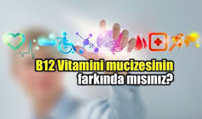 B12 Vitamini Faydalari Hangi Yiyeceklerde Bulunur Vitaminler Recete Saglikli Yasam Tarzi