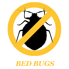 Schultz services deliver a safe and effective residential pest control service across grand rapids and west michigan. Pest Control Services In Pune Residential Pest Control In Pune Commercial Pest Control In Pune Herbal Pest Control In Pune Herbal Pest Control In Aundh Herbal Pest Control In Wakad Herbal Pest