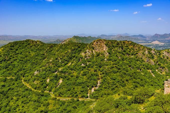 Aravalli Edge Restoration