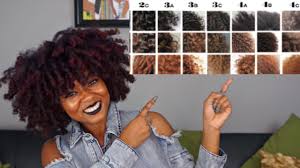 Type 1s are straight, type 2s are wavy, type 3s are curly, and type 4s are coily. Natural Hair Types Texture Tips Curl Pattern Porosity Density Youtube