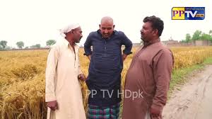 ดูทีวี ดู pptv hd ออนไลน์ pptvthai live tv online. Airport Aur Gandam Ke Wapari Airport Aur Helmet Wapari Punjabi Funny L Comedy Clip Video Dailymotion