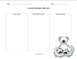 polar bear kwl chart chart kindergarten literacy arctic